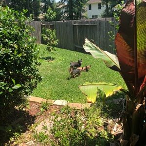 Meet your Posher, Humberto